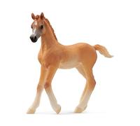 Schleich 13984 Potro árabe, a Partir de 5 años, Horse Club - Figura, 2 x 8 x 8 cm
