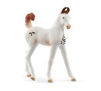 Schleich 14896 Potro Marwari, a Partir de 5 años, Horse Club - Figura, 3 x 7 x 8 cm