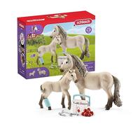 Schleich 42430 Set de Primeros Auxilios de Horse Club Hannah, a Partir de 5 años, Horse Club - playset, Piezas