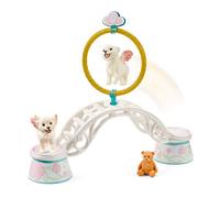 Schleich 42524n Playset Entrenamiento de leoncitos alados
