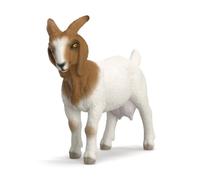 Cabra Boer