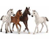 Schleich Juego de 4 potros - Holsteiner 13860, Hannoverer 13818, Selva Negra 13899 y Knabstrupper 17076 (Horse Club)