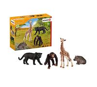 Schleich Kit básico Wild Life, 72162