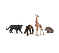 Schleich - Kit bsico Wild Life - 72162 - Gama Wild Life
