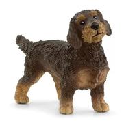 Schleich: Perro salchicha de pelo duro 13972