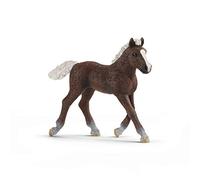 Schleich - Potro Black Forest (13899)