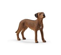 Schleich - Rhodesian Ridgeback (13895)