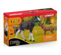 Schleich Vida Silvestre Alce Femenino Con Cría 42603 National Geographic Kids