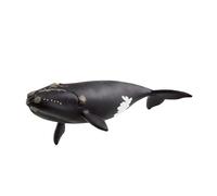 schleich WILD LIFE | Ballena Franca del Atlántico Norte 14878 | figura animal realista | juguete educativo zoológico | regalo para niños y niñas | decoración cumpleaños | desde 3 años | 19 x 10 x 5 cm