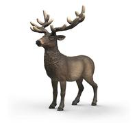 schleich Wild Life | Ciervo Rojo Americano 14992 | Figura Detallada de Animales | Juguetes Zoo | Regalo para niños | Figura Desde 3 años | 10 x 7 x 12 cm