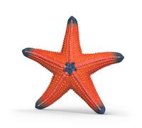 Schleich Wild Life Estrella de mar que cambia de color 14902