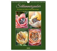 Schlummerzauber - Die Kinder des Waldes in ihren Blütenwiegen (Wandkalender 2026 DIN A4 hoch), CALVENDO Monatskalender: Waldtierbabys träumen in Blütenkelchen.
