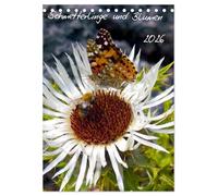 Schmetterlilnge und Blumen (Tischkalender 2026 DIN A5 hoch), CALVENDO Monatskalender: Unsere heimischen Schmetterlinge