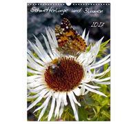 Schmetterlilnge und Blumen (Wandkalender 2027 DIN A3 hoch), CALVENDO Monatskalen