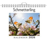 Schmetterling: Wandkalender 2026, Kalender DIN A4 quer, Monatskalender im Querformat mit Kalendarium, das perfekte Geschenk
