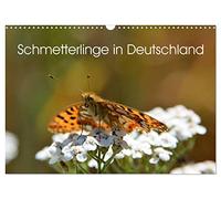 Schmetterlinge in Deutschland (Wandkalender 2026 DIN A3 quer), CALVENDO Monatskalender: Genießen sie die Auswahl der schönsten Motive einheimischer ... Thomas Freiberg nun auch als Kalender.
