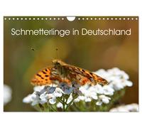 Schmetterlinge in Deutschland (Wandkalender 2027 DIN A4 quer), CALVENDO Monatska