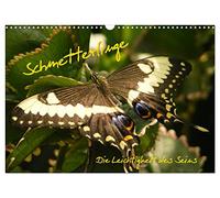 Schmetterlinge (Wandkalender 2026 DIN A3 quer), CALVENDO Monatskalender: Die Leichtigkeit des Seins