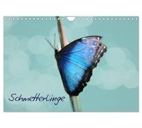 Schmetterlinge (Wandkalender 2027 DIN A4 quer), CALVENDO Monatskalender