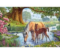 Schmidt 56161 - Caballos de Torrente: Kids Jigsaw Puzzle 150 Piezas Partir de 7 años