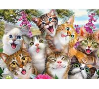 Schmidt 58391 Jigsaw Puzzle Cat Selfie (500 pcs)