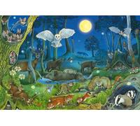 Schmidt Juegos 56529 Animales por la Noche en el Bosque, 100 Piezas, Puzzle Infantil de cartón de Hierba, Multicolor