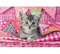 Schmidt Spiele 56361 My Favorite Pet Babies, 3x48 Piece Children's Puzzle