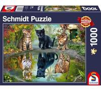 Schmidt Spiele 57392, Katzen, Teile Gatos Dream Big, Puzzle de 1000 Piezas, Rompecabezas, Multicolor, Normal