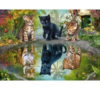 Schmidt Spiele 57392, Katzen, Teile Gatos Dream Big, Puzzle de 1000 Piezas, Rompecabezas, Multicolor, Normal