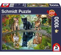 Schmidt Spiele 57392, Katzen, Teile Gatos Dream Big, Puzzle de 1000 Piezas, Romp