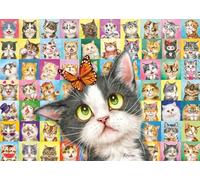 Schmidt Spiele Puzzle Expressions Chat 59759 – 1000 piezas, expresiones de gatos, 69,3x49,3 cm