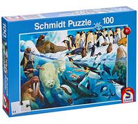 Schmidt Spiele Puzzle 56295 - Puzle Infantil con diseño de Animales en el círculo Polar ártico, Multicolor