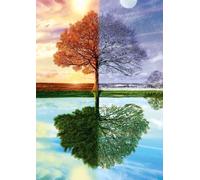 Schmidt-Spiele Rompecabezas The Seasons Tree – 500 piezas – 12+ años – 1 jugador