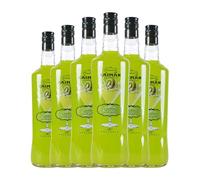 Schnapp Antonio Nadal Caimán jarabe Kiwi sin alcohol Botella Misil 1 L (Caja de 6 Botella Misil de 1 L)