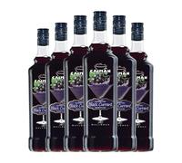 Schnapp Antonio Nadal Tunel jarabe Blackurrant Botella Misil 1 L (Caja de 6 Botella Misil de 1 L)