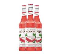 Schnapp MoninCocktail Sirope de Sandía PET Botella Misil 1 L (Caja de 3 Botella Misil de 1 L)