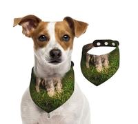Schnauzer Atardecer Perros Mascotas Montañas Schnauzer,Pañuelos de algodón para Perros, Bufandas Ajustables para Mascotas,M