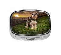 Schnauzer Atardecer Perros Mascotas Montañas Schnauzer, Pastillero cuadrado para bolsillo o monedero, pequeño contenedor de pastillas, organizador de pastillas de viaje