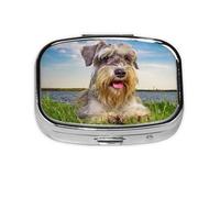 Schnauzer Césped Mascotas Perros Grises Chnauzer, Pastillero cuadrado para bolsillo o monedero, pequeño contenedor de pastillas, organizador de pastillas de viaje