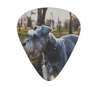 Schnauzer miniatura, mascotas de césped, perros grises,12 púas de guitarra, 3 grosores diferentes para guitarra acústica, bajo y ukelele
