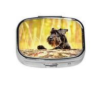 Schnauzer Miniatura Mascotas Del Bosque Perros Negros, Pastillero cuadrado para bolsillo o monedero, pequeño contenedor de pastillas, organizador de pastillas de viaje