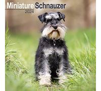 Schnauzer Miniature Calendar 2024 Square Dog Breed Wall Calendar - 16 Month