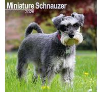 Schnauzer Miniature Calendar 2026 Square Dog Breed Wall Calendar - 16 Month