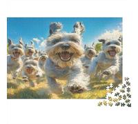 Schnauzer Rompecabezas Imposible,desafío para Adultos céu Azul Pradera Entretenimiento Creativo 1000 Piezas Obra De Arte De Juego De para Adultos Y Niños Mayores De 12 Años 1000pcs (75x50cm)
