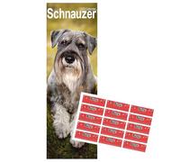 Schnauzer Slim Calendar 2026 | Calendario Slimline de raza de perro | 12 meses | con pegatinas de organización