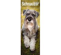 Schnauzer Slim Calendar 2026 Dog Breed Slimline Calendar - 12 Month