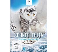Schnee-Eulen - Schwingen über der Arktis [Alemania] [DVD]
