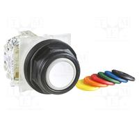SCHNEIDER 9001SKR1UH13 Interruptor