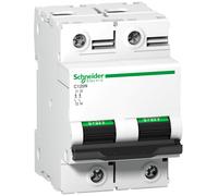 Schneider C120N 2P 100A Interruptor Automático 10kA - A9N18362