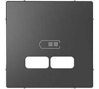 Schneider Electric 197169 Placa Central para estación de Carga USB, Antracita, diseño del Sistema